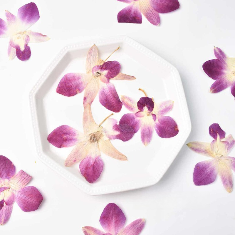 4pcs,Real Pressed Butterfly Or - Resin Art Baby 评论和价格