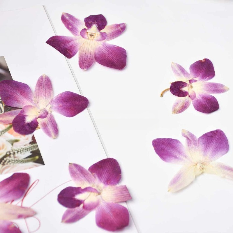 4pcs,Real Pressed Butterfly Or - Resin Art Baby 评论和价格