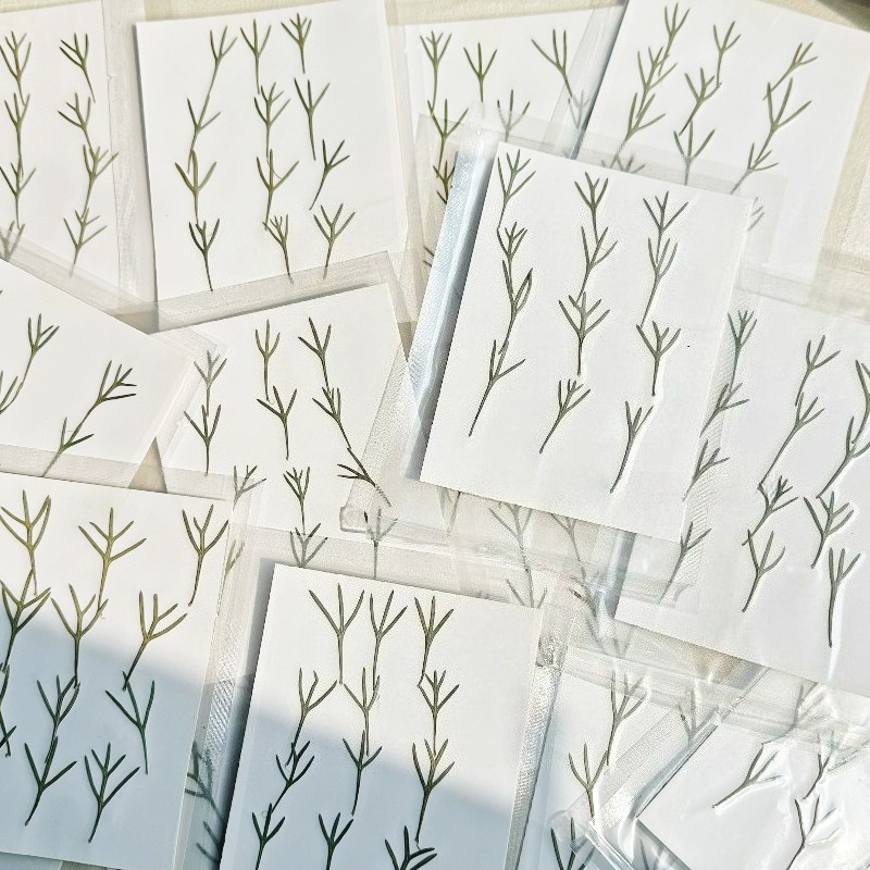 24pcs,Real Pressed Achillea Le - Resin Art Bookmark 评论和价格