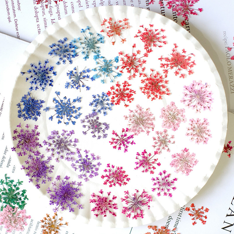 24pcs, 2-2.5cm, Nature Dyed Mi - Resin Art Baby 评论和价格