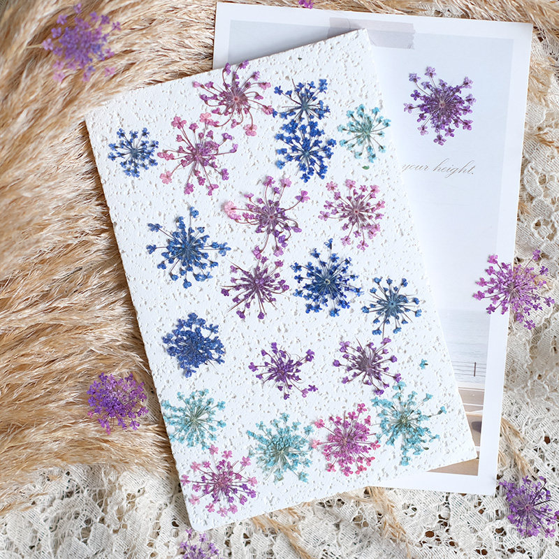 24pcs, 2-2.5cm, Nature Dyed Mi - Resin Art Baby 评论和价格