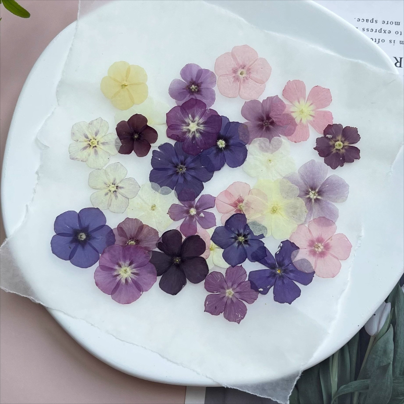 12pcs,Semi-Transparent Niche P - Resin Art Baby 评论和价格