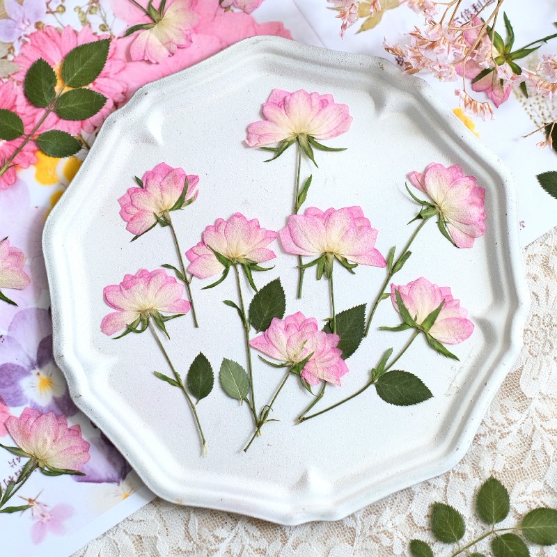 12pcs,Real Dried Pressed Flowe - Resin Art Baby 评论和价格
