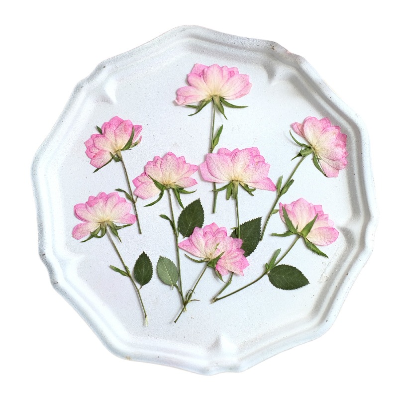 12pcs,Real Dried Pressed Flowe - Resin Art Baby 评论和价格